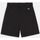 Vêtements Femme Shorts / Bermudas Dickies PHOENIX REC SHORT - DK0A4Y85-BLK1 BLACK Noir