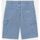 Vêtements Homme Shorts / Bermudas Dickies GARYVILLE DNM SHORT - DK0A4XCK-C151 - VNTG BLUE Bleu