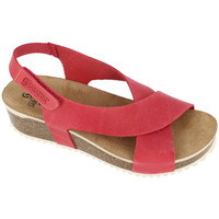 Chaussures Femme Sandales et Nu-pieds Sabatini Sandale  2411 Rouge Rouge