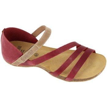Chaussures Femme Sandales et Nu-pieds Sabatini Sandal  4605 Bordeaux/Beige Multicolore