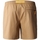 Vêtements Homme Shorts / Bermudas The North Face Class V Ripstop Shorts - Utility Brown Beige