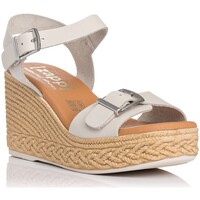 Chaussures Femme The Indian Face Zapp 5224 Blanc
