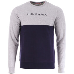 Vêtements Homme Sweats Hungaria 718990-60 Gris