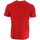 Vêtements Homme T-shirts & Polos Hungaria 718890-60 Rouge