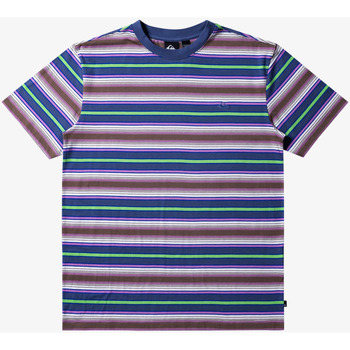 Vêtements Homme T-shirts manches courtes Quiksilver Geller Stripe Bleu