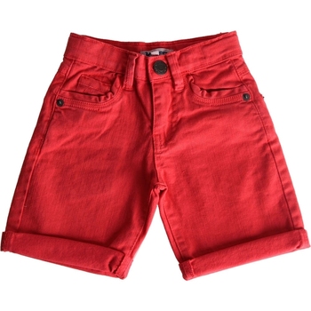 Vêtements Enfant Shorts / Bermudas Abery THOR Multicolore
