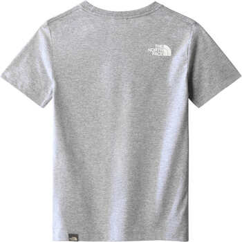 The North Face B S/S GRAPHIC TEE Gris
