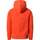 Vêtements Enfant Chemises manches courtes The North Face Y DREW PEAK P/O HOODIE Orange
