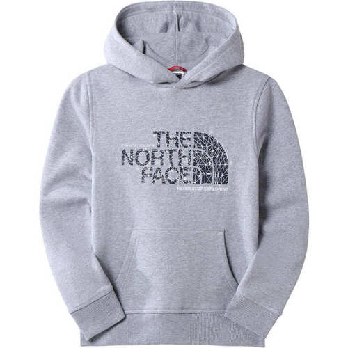 Vêtements Enfant Chemises manches courtes The North Face TEENS DREW PEAK P/O HOODIE Gris