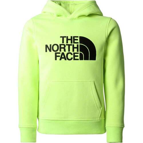 Vêtements Enfant Chemises manches courtes The North Face B DREW PEAK P/O HOODIE Vert