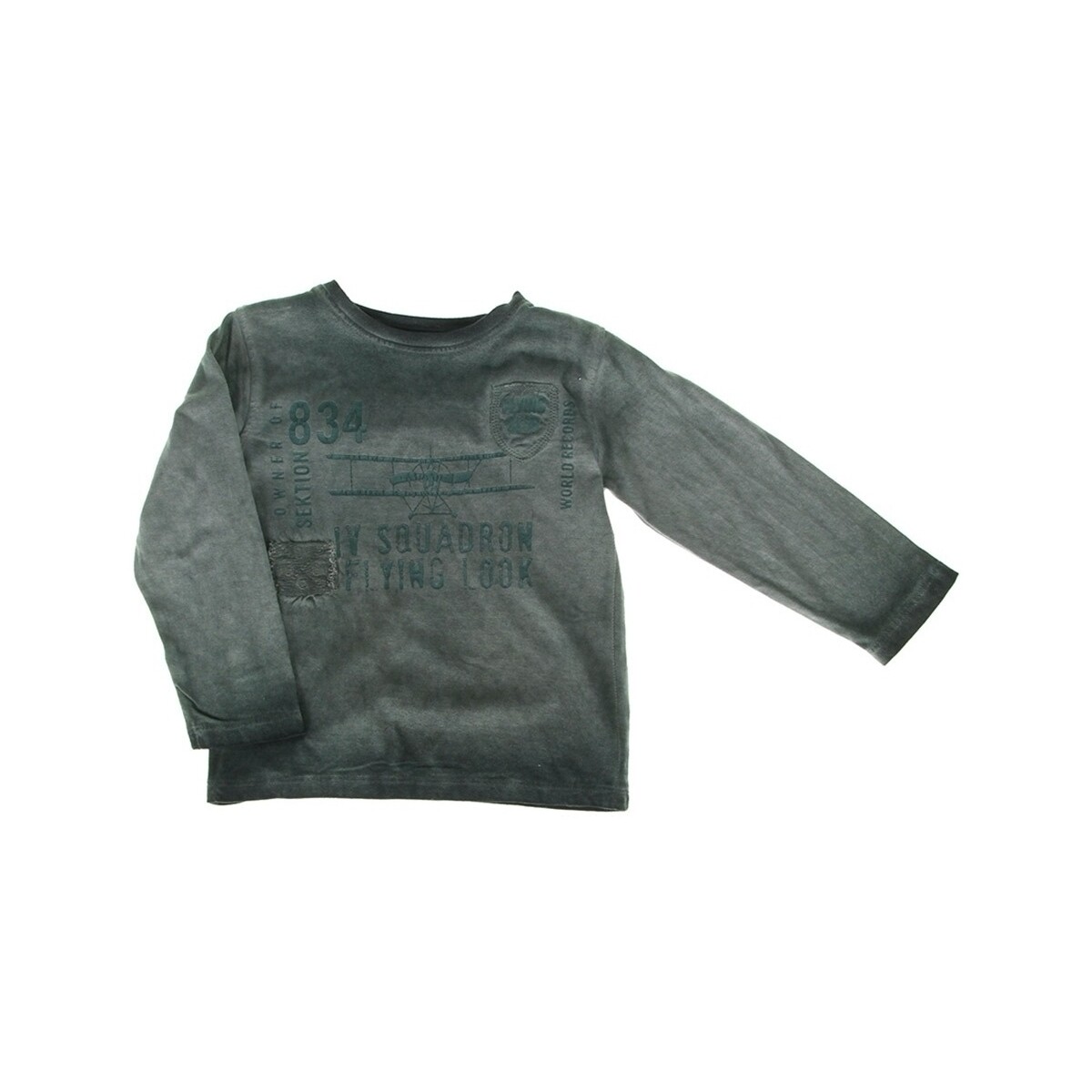 Vêtements Enfant Polos manches courtes Losan camiseta little boy flying Vert