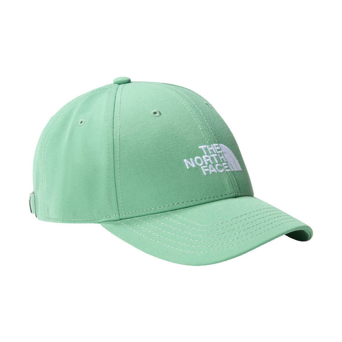 Accessoires textile Bonnets The North Face RECYCLED 66 CLASSIC HAT Vert