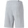 Vêtements Homme Shorts / Bermudas Puma 847437-04 Gris