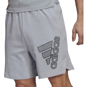 Vêtements Homme Shorts / Bermudas adidas Originals HB9190 Gris