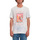Vêtements Homme T-shirts manches courtes Volcom Egle Zvirblyte 2 Fa Ss Angled Bleach Wash Gris