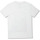 Vêtements Garçon T-shirts manches courtes Volcom Elzo Durt 2 Fa Ss White Blanc