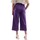 Vêtements Femme Pantalons de costume Emme Marella ZOE1 Violet