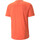 Vêtements Homme Chemises manches courtes Puma M SEASONS COOLCELL TEE Orange