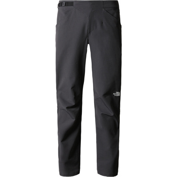 Vêtements Homme Loints Of Holla The North Face M AO WINTER REG TAPERED PANT Noir