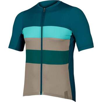 Vêtements Homme Chemises manches courtes Endura Maillot Pro SL Race Multicolore