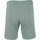Vêtements Homme Shorts / Bermudas Only&sons ONSSOUTH REG SWEAT SHORTS CS Vert