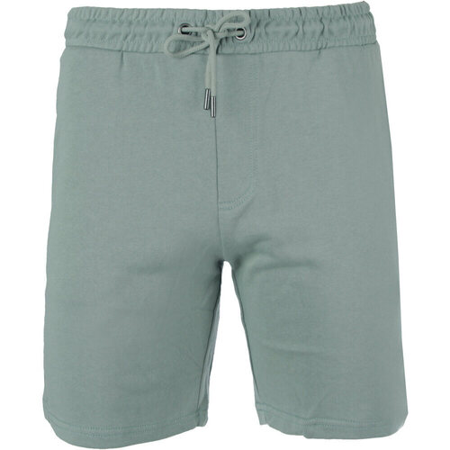 Vêtements Homme Shorts / Bermudas Only&sons ONSSOUTH REG SWEAT SHORTS CS Vert