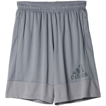 Vêtements Homme Shorts / Bermudas adidas Originals PRIME SHORT Gris