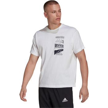 Vêtements Homme T-shirts manches courtes adidas Originals M BL Q2 T Blanc