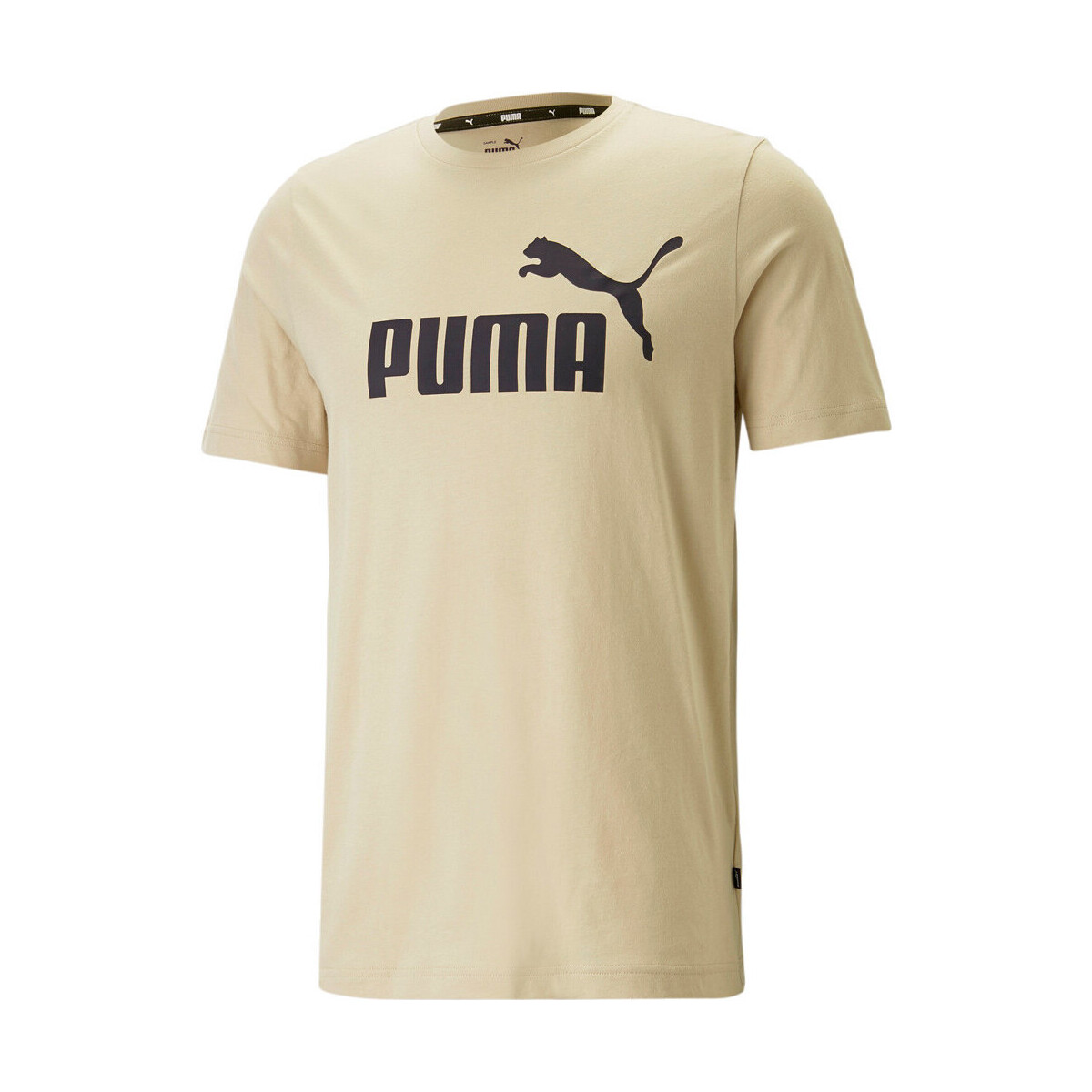 Vêtements Homme Polos manches courtes Puma ESS Logo Tee Beige