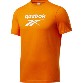 Vêtements Homme Polos manches courtes Reebok Dance Sport CL F VECTOR TEE Orange
