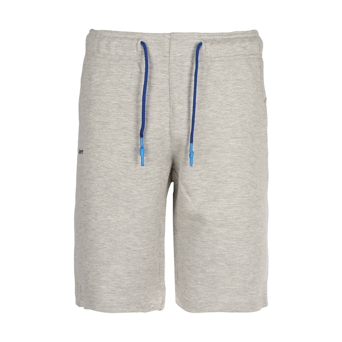 Vêtements Homme Shorts / Bermudas Abery R-MAINE Multicolore