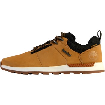 Chaussures Homme Baskets basses Timberland 214856 Jaune