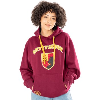Vêtements Sweats Harry Potter  Multicolore