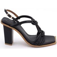 Chaussures Femme Sandales et Nu-pieds Angel Alarcon  Noir