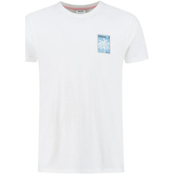 Vêtements Homme T-shirts & Polos Shiwi T-Shirt Panama Post Blanche Blanc