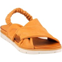Chaussures Femme Sandales et Nu-pieds Coco & Abricot MIGNY-V2361A Orange