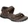 Chaussures Homme Sandales et Nu-pieds J´hayber ZA53416-500 Marron