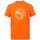 Vêtements Garçon T-shirts manches courtes Puma TEE SHIRT JR ACTIV GRAF - CAYENNE PEPPER - 152 Multicolore