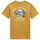 Vêtements Homme T-shirts & Polos Vans Ground up ss tee Orange