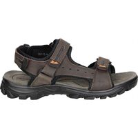 Chaussures Homme Sandales et Nu-pieds Vicmart 557-15 Marron