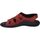 Chaussures Femme Sandales et Nu-pieds Westland Rouen 06, rot Rouge