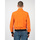 Vêtements Homme Blousons Geox M2520D T2473 Orange
