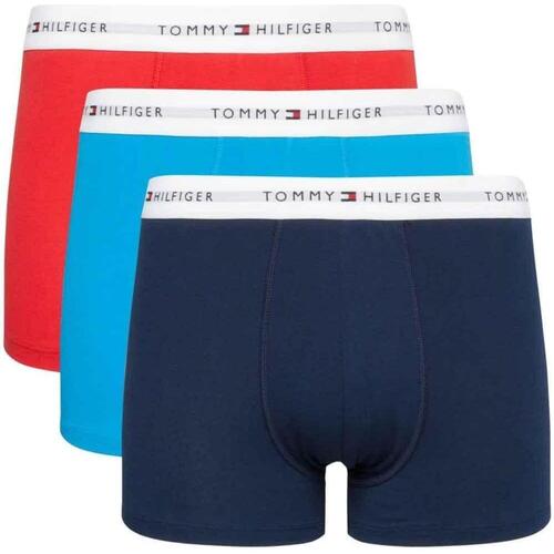 Sous-vêtements Homme Boxers Briefs Tommy Hilfiger  Multicolore