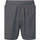 Vêtements Homme Shorts / Bermudas Dare2b Surrect Short Gris