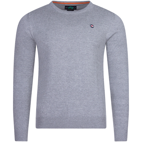 Vêtements Homme Pulls Green Island Pull coton col rond Gris