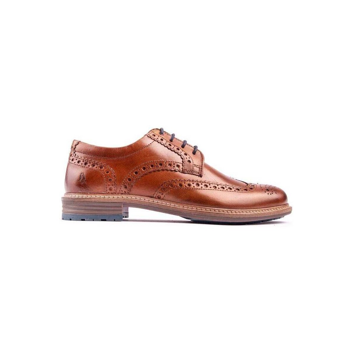 Chaussures Homme Duck And Cover Largo Chaussures À Lacets Marron
