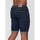 Vêtements Homme Shorts / Bermudas Duck And Cover Mustone Multicolore