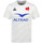 Vêtements Enfant T-shirts manches courtes Le Coq Sportif FFR XV Maillot Replica Blanc