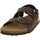 Chaussures Homme Sandales et Nu-pieds Grunland SB3645-40 Marron