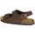 Chaussures Homme Sandales et Nu-pieds Grunland SB3645-40 Marron